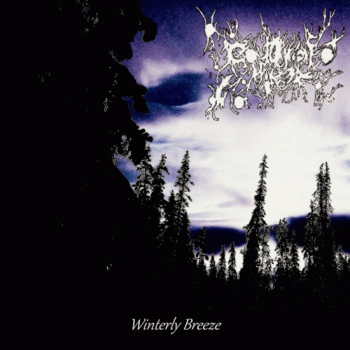 Cold Night Winter : Winterly Breeze